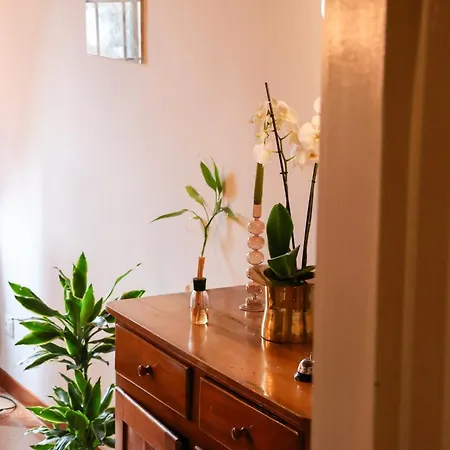 Aurelia Maison Apartamento *