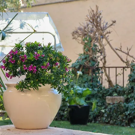 Aurelia Maison Apartamento